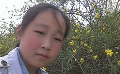 内衣办公室动未增删带翻译3樱花